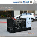 8kw 10kv Yangdong Open Type Diesel Generator with Good Quality